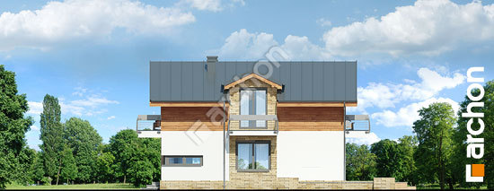 Боковой фасад Дом в буддлеях (Р2) вер.2