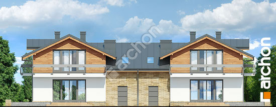 Дворовий фасад Будинок в буддлеях (Р2) вер.2