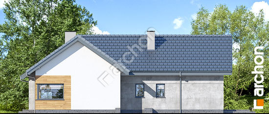 Боковой фасад Дом в галах 3 (П)