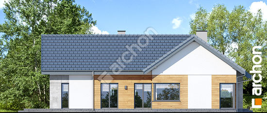 Боковой фасад Дом в галах 3 (П)