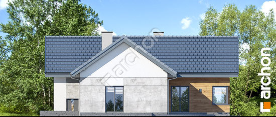 Дворовой фасад Дом в галах 3 (П)