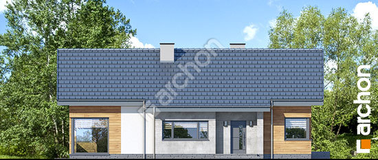 Передній фасад Будинок в галах 3 (П)