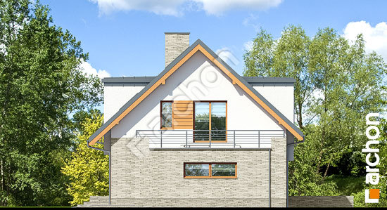 Бочний фасад Будинок в амарилісах 5