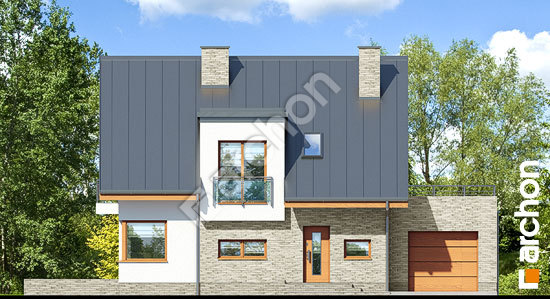 Передній фасад Будинок в амарилісах 5