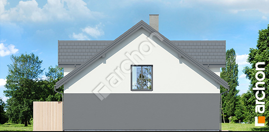 Бочний фасад Будинок під гінко 22 (ГР2)