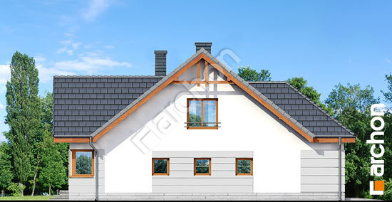 Бочний фасад Будинок в хмелю вер.2