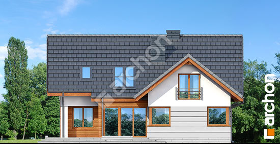 Дворовий фасад Будинок в хмелю вер.2