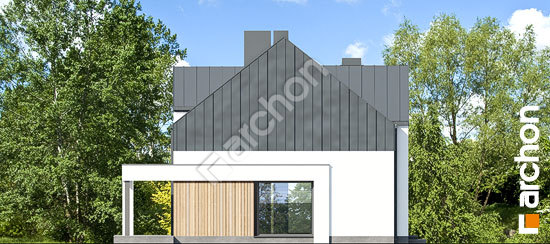 Боковой фасад Дом в гунерах 2 (Б)