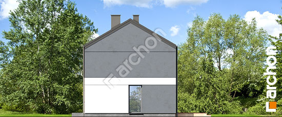 Боковой фасад Дом в мураях (ГР2)