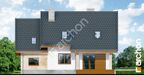 Дворовий фасад Будинок в філодендронах (Мп)