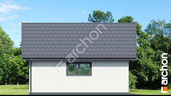 Бочний фасад Господарська будівля Г36