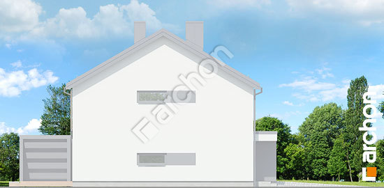 Боковой фасад Дом в нарциссах (БА)