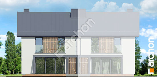 Дворовой фасад Дом в нарциссах (БА)