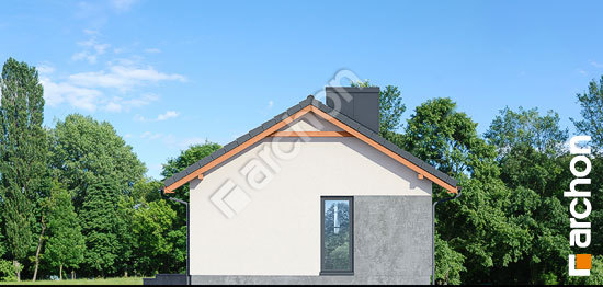 Бочний фасад Будинок в коручках