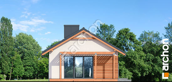 Бочний фасад Будинок в коручках