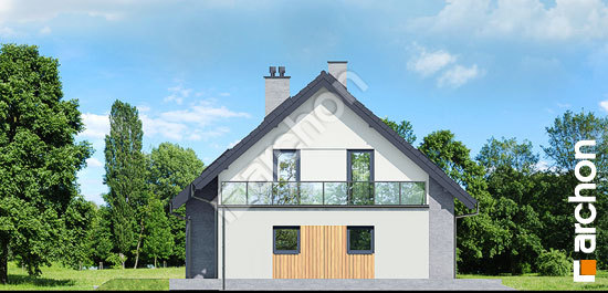 Боковой фасад Дом в аурорах 5 (Г)