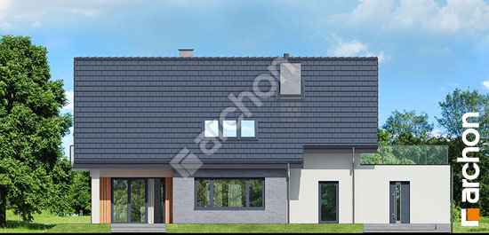 Дворовой фасад Дом в аурорах 5 (Г)