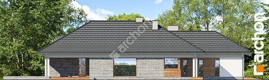 Боковой фасад Дом в андромедах 2 (Г2)