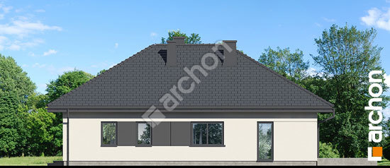 Бочний фасад Будинок в паулініях 3