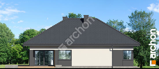 Боковой фасад Дом в паулиниях 3