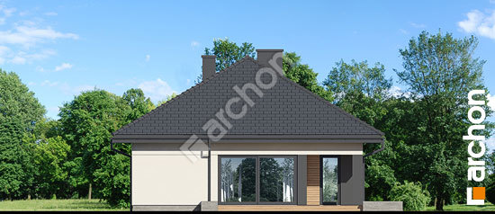 Дворовой фасад Дом в паулиниях 3