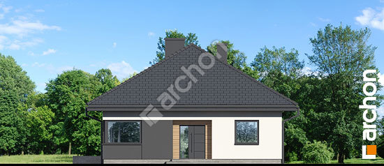 Передний фасад Дом в паулиниях 3