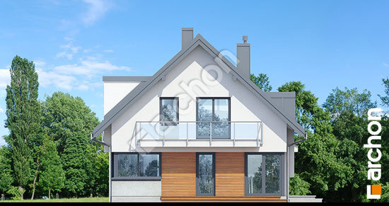 Боковой фасад Дом в амариллисах 8