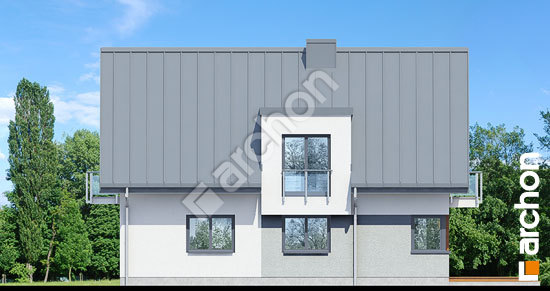 Дворовой фасад Дом в амариллисах 8