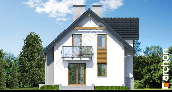 Дворовий фасад Будинок у винограді (ПН) вер. 2