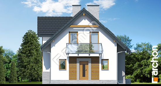 Передний фасад Дом в винограде (ПН) вер. 2