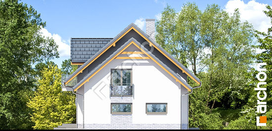 Боковой фасад Дом в рододендронах 16 (П)