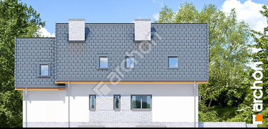 Дворовий фасад Будинок в рододендронах 16 (П)