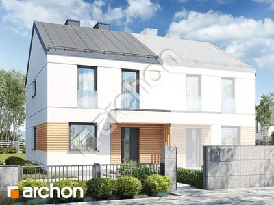 Проєкт будинку ARCHON+ Будинок в тунбергіях (Б) 