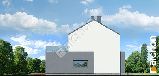 Боковой фасад Дом в цитронах (Б)