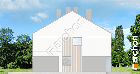 Боковой фасад Дом в нарциссах 6 (Б) вер.2 