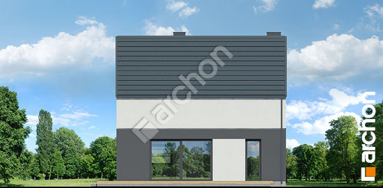 Дворовой фасад Дом в малиновках 24 (А)