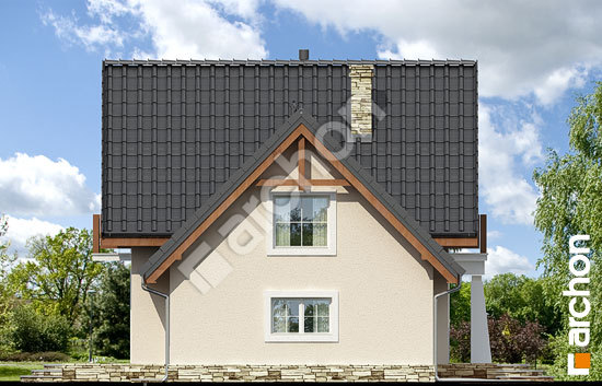 Бочний фасад Будинок у винограді 2 вер.2