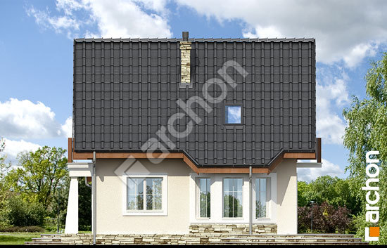 Боковой фасад Дом в винограде 2 вер.2