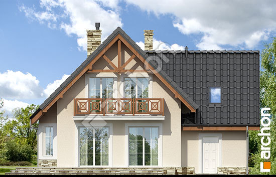 Дворовой фасад Дом в винограде 2 вер.2