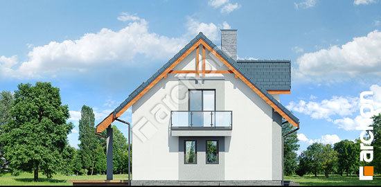 Бочний фасад Будинок в хлорофітумі 5 (П)