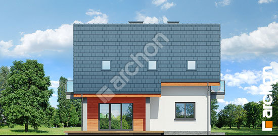 Дворовой фасад Дом в хлорофитуме 5 (П)