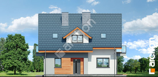 Передній фасад Будинок в хлорофітумі 5 (П)