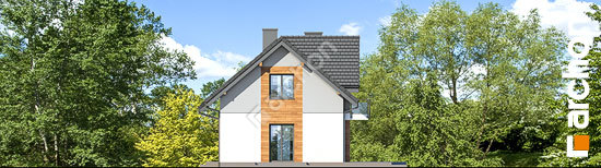 Бочний фасад Будинок в малинівці 5 (Б)