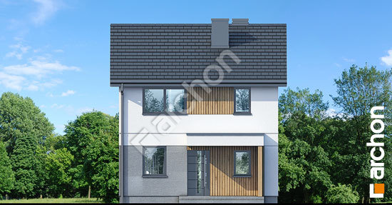 Передній фасад Будинок у катранах