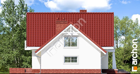 Бочний фасад Будинок в абрикосах (П)