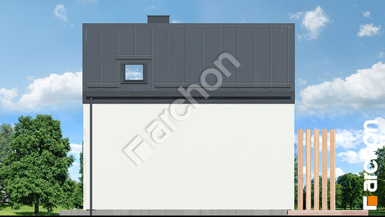 Боковой фасад Летний домик в голокучнике 3