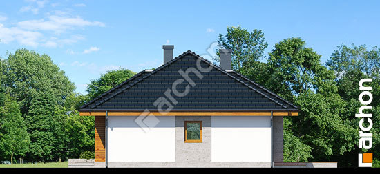 Бочний фасад Будинок в акебіях 3 вер. 2