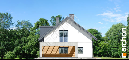 Боковой фасад Дом в янтарнике