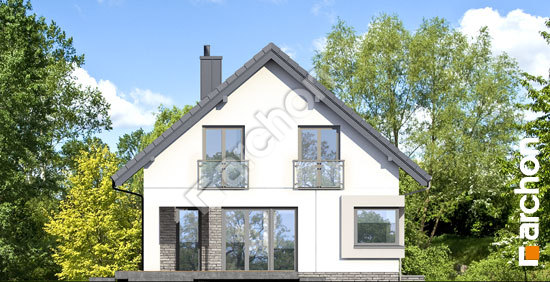 Бочний фасад Будинок в ізопірумі (Е)