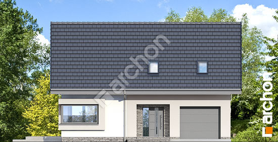 Передний фасад Дом в изопируме (Е)